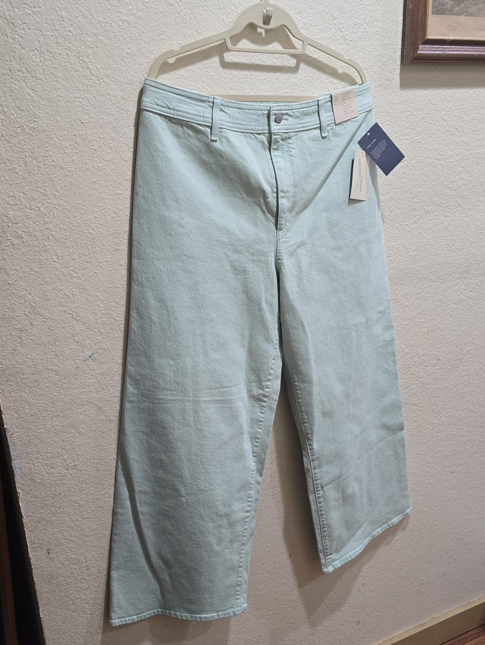 NWT☆☆Universal Thread ☆☆Mint Green High-Rise Jeans☆